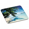 SCENIC FOAM MOUSE PAD, NONSKID BACK, 9