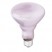 INCANDESCENT REFLECTOR FLOODLIGHT, 65 WATTS