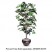 ARTIFICIAL FICUS TREE, 6-FT. OVERALL HEIGHT