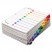 QUICKSTEP ONESTEP BULK INDEX SYSTEM, TITLE: 1-10, LETTER, MULTICOLOR, 24 SETS/BX