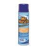 OVEN AND GRILL CLEANER, 19 OZ. AEROSOL CAN, 6/CARTON