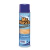 OVEN AND GRILL CLEANER, 19 OZ. AEROSOL