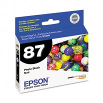 T087120 ULTRACHROME HI-GLOSS 2 INK, BLACK