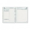 ORIGINAL DATED DAILY ACADEMIC PLANNER REFILL, JULY-JUNE, 8-1/2 X 11, 2012-2013