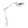 CLAMP-ON FLUORESCENT SWING ARM MAGNIFIER LAMP, 5