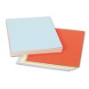 ASSORTED COLORS TAGBOARD, 12 X 9, BLUE/CANARY/GREEN/ORANGE/PINK, 100/PACK