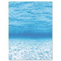 FADELESS DESIGNS BULLETIN BOARD PAPER, UNDER THE SEA, 50 FT X 48