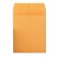 REDI-SEAL CATALOG ENVELOPE, 6 X 9, BROWN KRAFT, 100/BOX