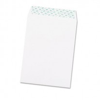 REDI STRIP CATALOG ENVELOPE, 9 X 12, WHITE, 100/BOX