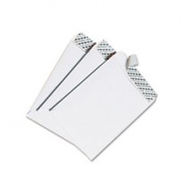 REDI STRIP CATALOG ENVELOPE, 10 X 13, WHITE, 100/BOX